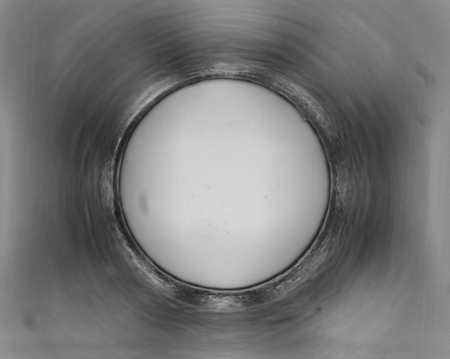 X0000111210794200907221150