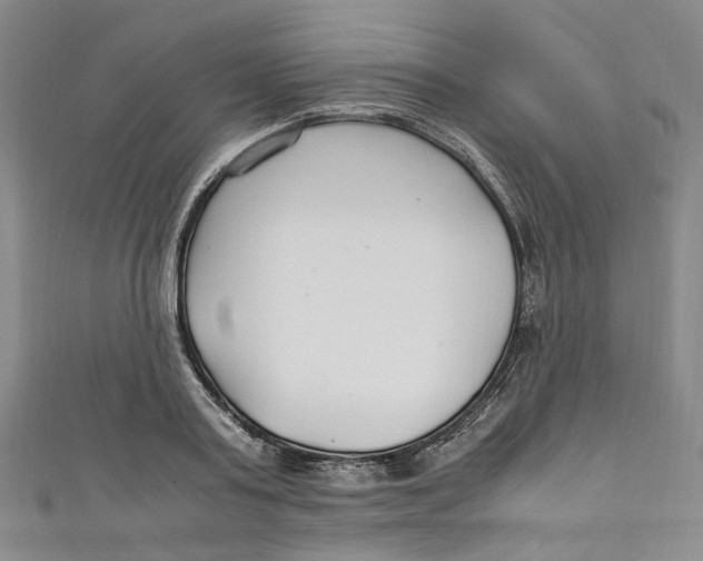 X0000111210795200907221150