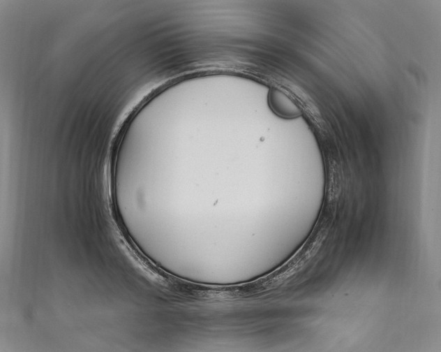 X0000111210796200907221150