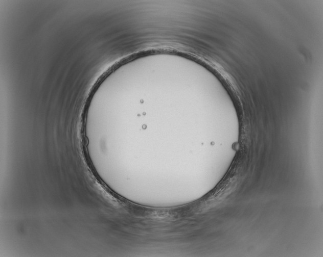 X0000111210799200907221150