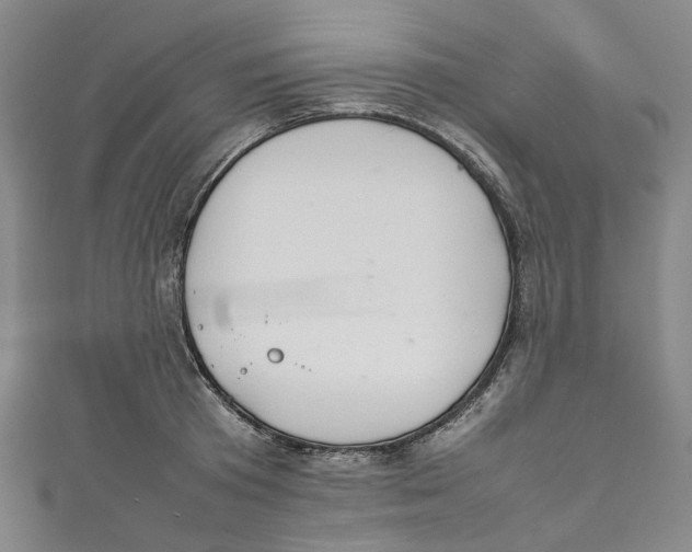 X0000111210801200907221150