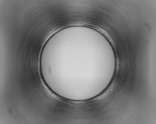 X0000111210802200907221150