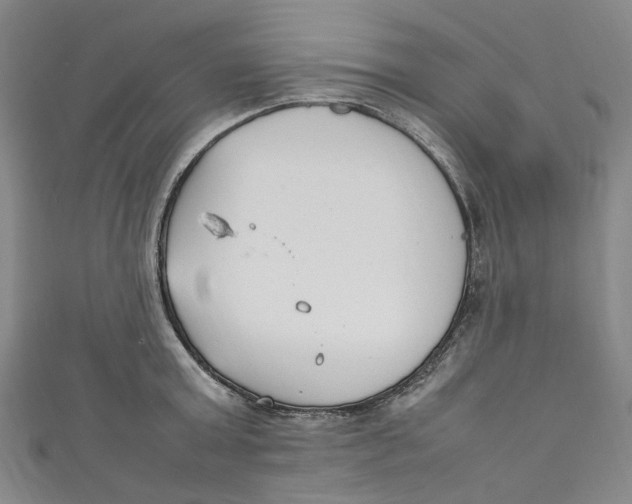 X0000111210803200907221150