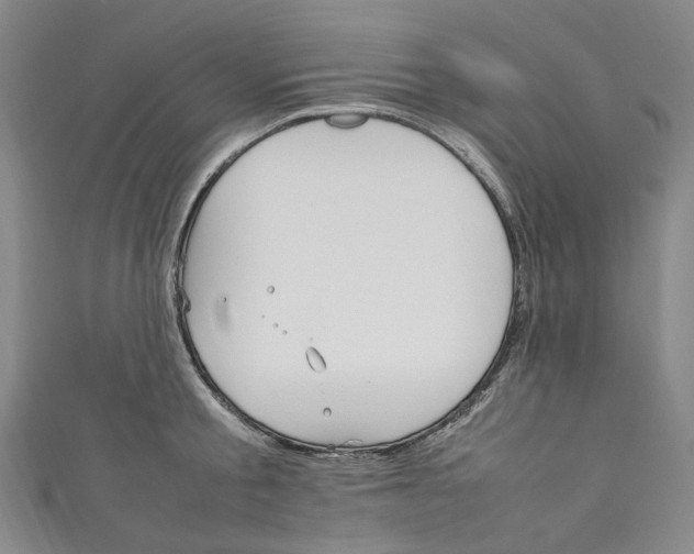 X0000111210805200907221150