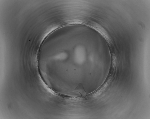 X0000111210806200907221150