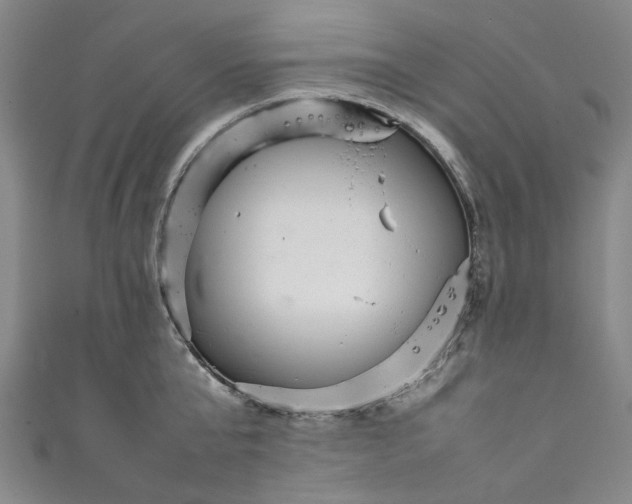 X0000111210807200907221150