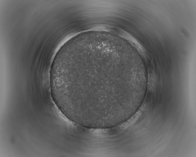 X0000111210808200907221150