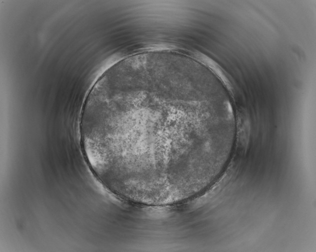 X0000111210810200907221150