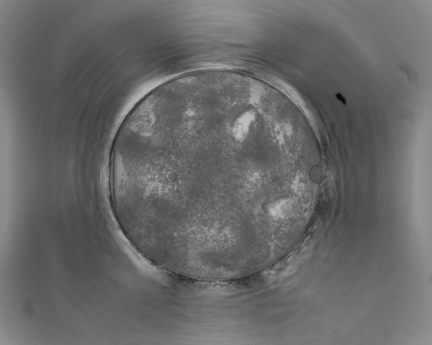 X0000111210811200907221150