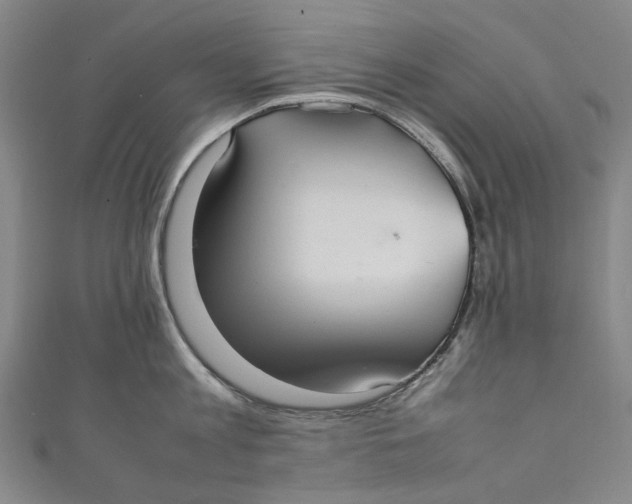 X0000111210813200907221150