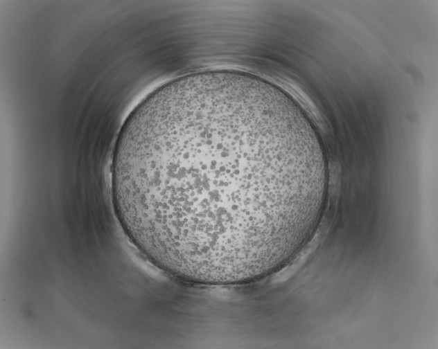 X0000111210814200907221150