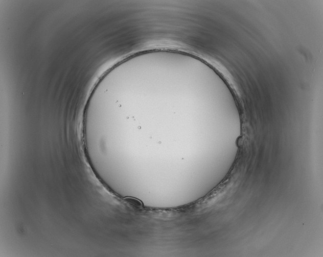 X0000111210815200907221150