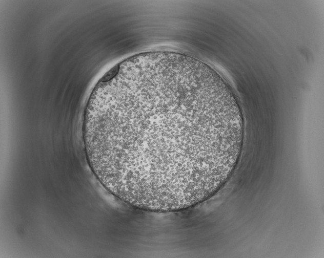 X0000111210816200907221150