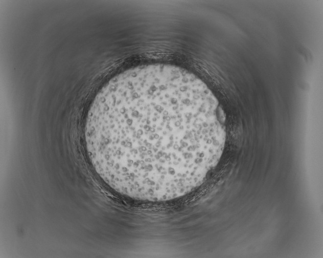 X0000111210817200907221149