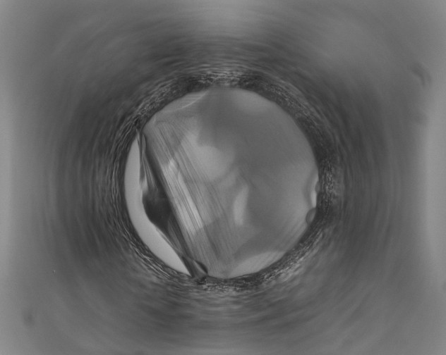 X0000111210818200907221149