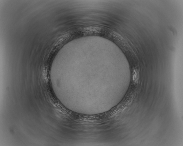 X0000111210819200907221149