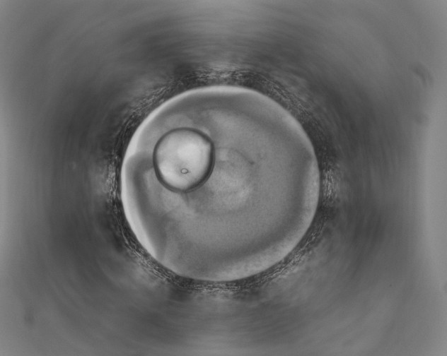 X0000111210820200907221149