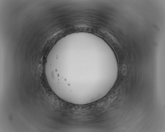 X0000111210821200907221149