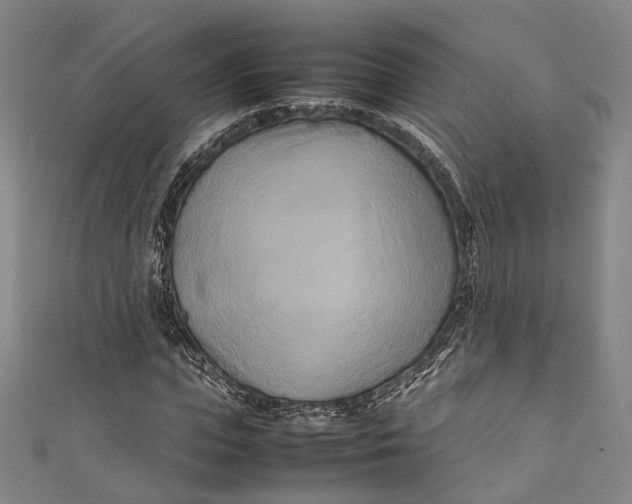 X0000111210823200907221149