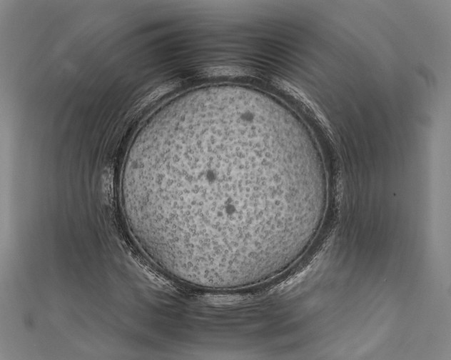 X0000111210825200907221149