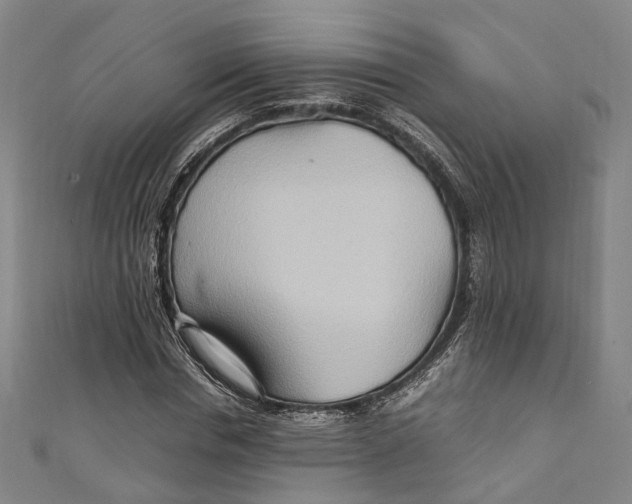 X0000111210826200907221149