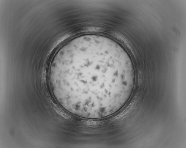 X0000111210827200907221149