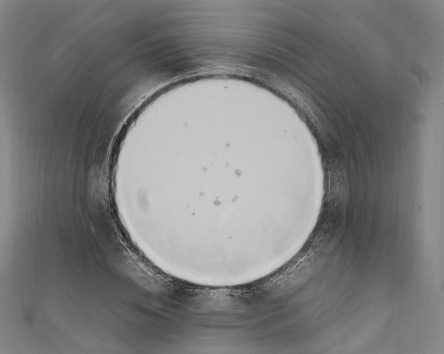 X0000111210828200907221149