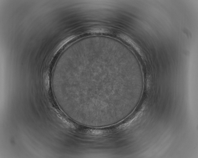 X0000111210829200907221149