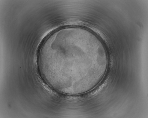 X0000111210830200907221149