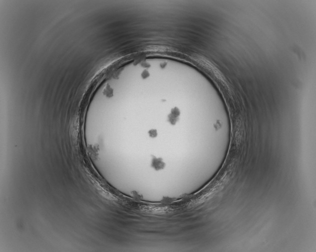 X0000111210831200907221149