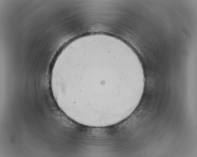 X0000111210832200907221149