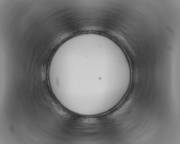 X0000111210833200907221149