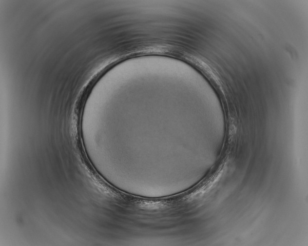 X0000111210835200907221149