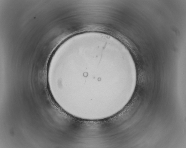 X0000111210836200907221149