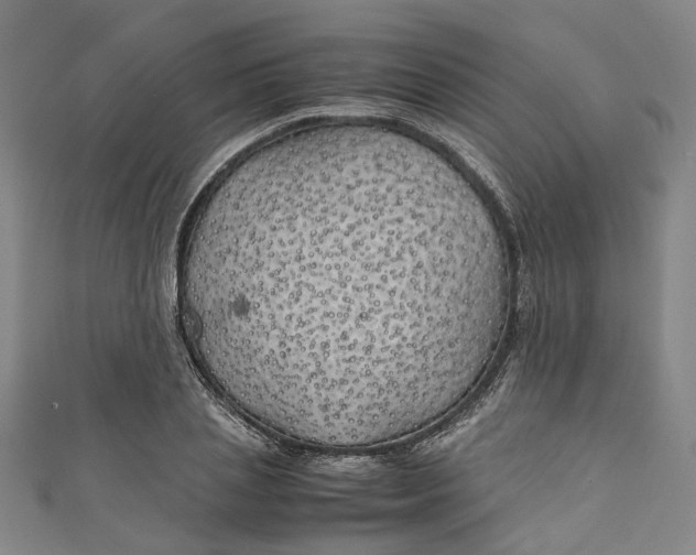 X0000111210837200907221149