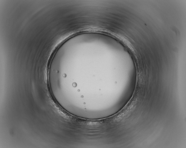 X0000111210839200907221149