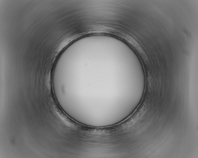 X0000111210842200907221149