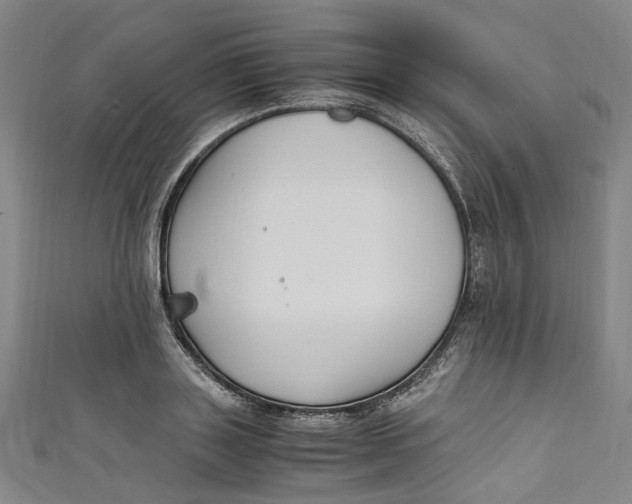 X0000111210843200907221149