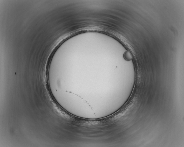 X0000111210845200907221149