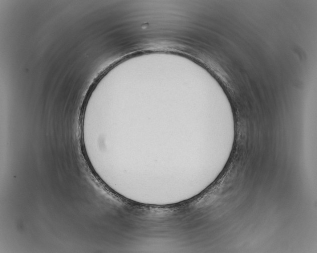 X0000111210848200907221149