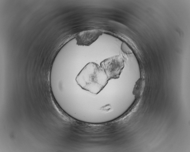 X0000111210849200907221149