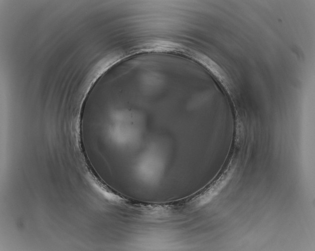 X0000111210850200907221150