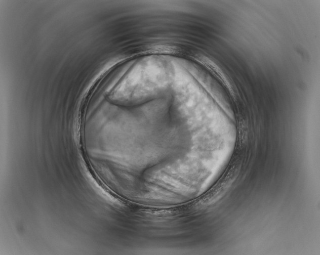 X0000111210851200907221150