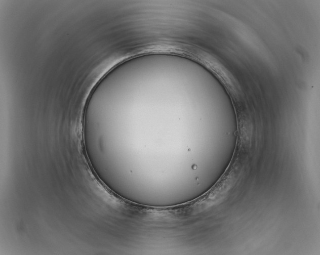 X0000111210852200907221150