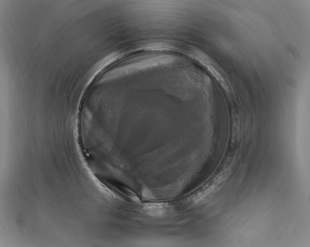 X0000111210853200907221150