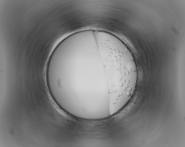 X0000111210854200907221150