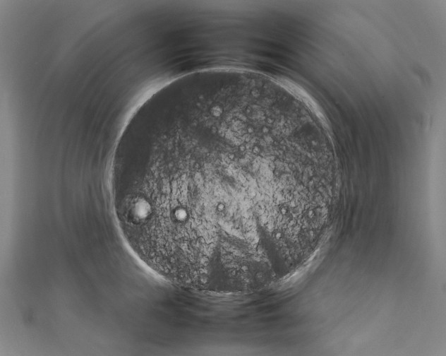 X0000111210855200907221150