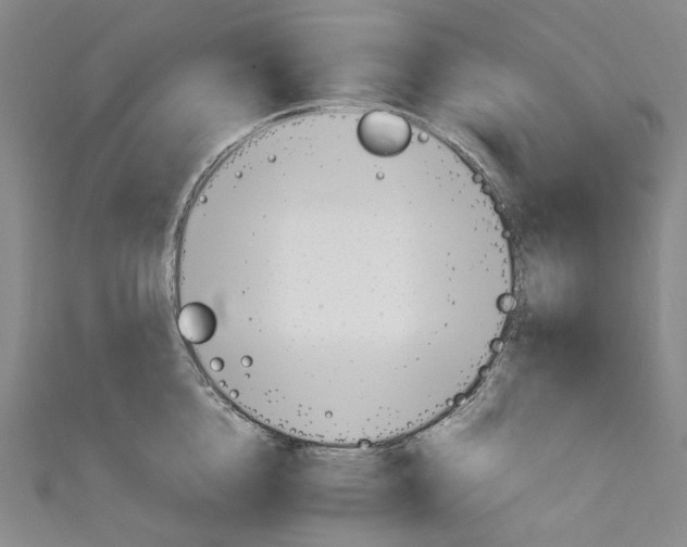 X0000111210856200907221150