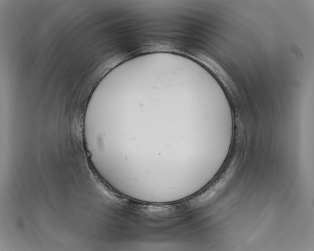 X0000111210857200907221150