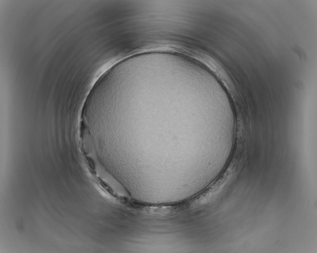 X0000111210858200907221150